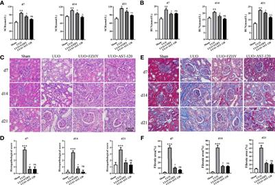 FuZhengHuaYuJiangZhuTongLuoFang Prescription Modulates Gut Microbiota and Gut-Derived Metabolites in UUO Rats